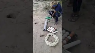 Farmer's Rat hunting Trap 24 #survival #rathunt #rattrap #farming