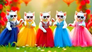 बिल्ली डांस | Cutest Cat videos funny dance🤣💃Dance Videos for cats #funny #dancingcat #cat #cute