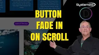 Divi Theme Button Fade In Scroll Effect