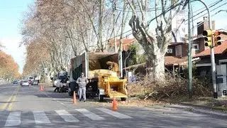 EN SAN ISIDRO FINALIZ&Oacute; LA CAMPA&Ntilde;A DE PODA PARA PROTEGER EL ARBOLADO |