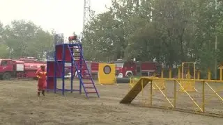 GLOBALink | How to train rescue dogs?