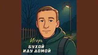 Бухой иду домой