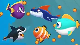 #usa Fish Evolution Max Level Gameplay usa