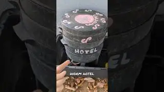 Worm Hotel. 🪱 #creativelife #funny #artist 😄 #vermicompost 🪱