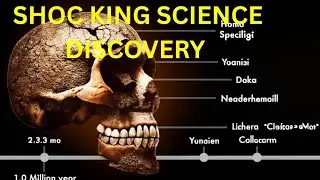 MILLION Year Old Skull rewrites DISCOVERY CHANGES Everything About Human Evolution