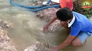 Believe This Fishing? Smart Boy Unique Fish Trapping System Using Long Pipe