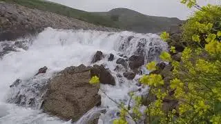 من البطحة عين عباسة سطيف🌧🌱👍🇩🇿