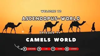 Episode 44: Creatures of Earth  I Camels World I