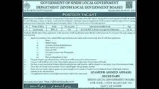 local government jobs