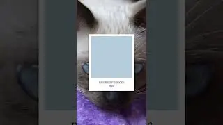 Beautiful Blue Tones - Osmo Country Shades Wood Oil Colours