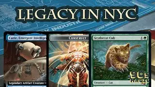 The best Legacy decks to start 2025!