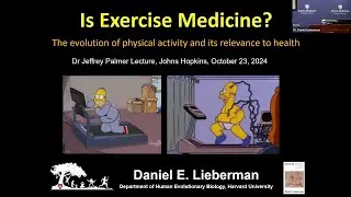 Is Exercise Medicine? The Evolution of Physical Activity and its Relevance to Health