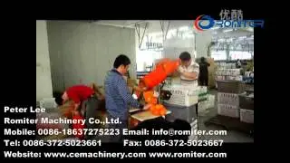 Electric Type Semi Automatic Net Bag Clipping Machine-Romiter Machinery