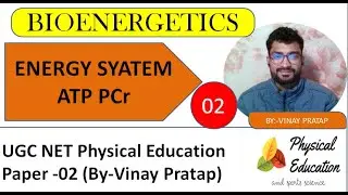 ATP - PC System|| ALACATIC System || Phosphagen Energy System || UGC NET Physical education