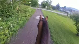 Gopro Horse Trail Ride