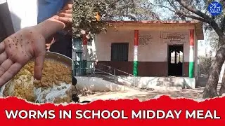 Koppal School Midday Meal Row: Worms Found, Officials Step In
