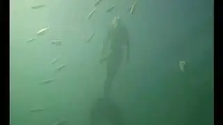 Mermaid filmed in Australia