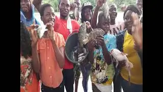 Excursion  Fish farming River Wouri,  River Moungo ( PISCICULTURE ) Batack - Babouantou in Cameroon.