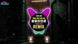 谢谢你的爱 (空灵鼓dj) (DJ He He x DJAQ Remix 2025) Cảm Ơn T&igrave;nh Y&ecirc;u Của Em (Wanji Edit Remix Tiktok) - 抖音DJ盒盒