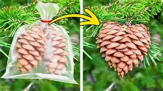 Gardening Hacks: Collecting Harvest Could be Easy! 🍎 #shorts #planting #garden #diy #harvest