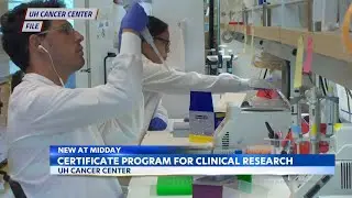 A University of Hawaii certificate research program thrives in Hawaii