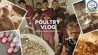 Student Poultry Vlog | Setting Up Chick Housing & Ideal Temperature