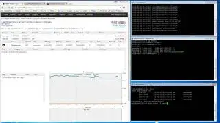 Tuto : Install Coin (Phoenixcoin - PXC) on Yiimp