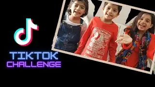 Tiktok challenge | THE VASWANI CREATION