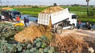 Great Start Landfill Use Dozer push the soil Dump Truck Unloading into the pond