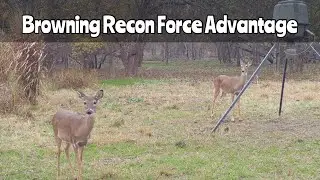 Deer Feeder #1: Browning Recon Force Advantage Trail Cam Dec. 16, 2024