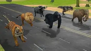 Animal Racing Game With Elephant, Gorilla, Dinosaur, Buffalo, Tiger, Lion 3d Animals Game