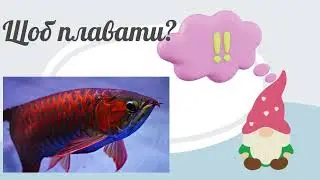 Казкові тести