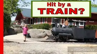 Trip to Cover's Apple Ranch in Tuolumne Ca. for a train ride & feeding the farm animals!