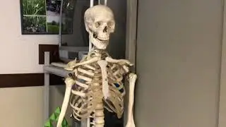 Scuola Secondaria 