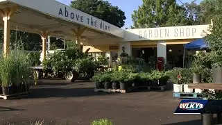 New plant shop opens in Jeffersontown's historic Gaslight district