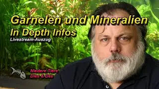 GARNELEN UND MINERALIEN - In Depth Infos und Mythen