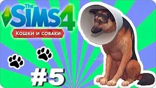 The Sims 4 100 Let's Play Cats & Dogs | Кошки и собаки # 5 - Стал ветеринаром!