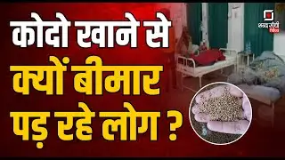 Kodo Millet | कोदो खाने से क्यों बीमार पड़ रहे लोग | Kodo Millet Benefits | kodo kese banate hai