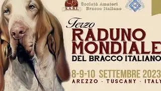 Terza 