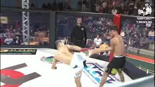 Deninho 3D Araujoo Highlight 🦁