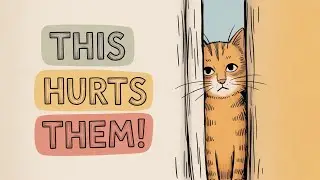 These Everyday Things HURT Your Cat's Feelings