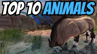 Топ-10 животных в Guild Wars 2