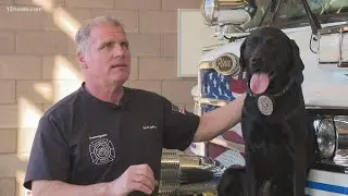 Valley dog trained to catch arsonists