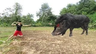 Primitive Technology: Smart Primitive Girl Build Wild Pig Trap With A Bow & Small Woods