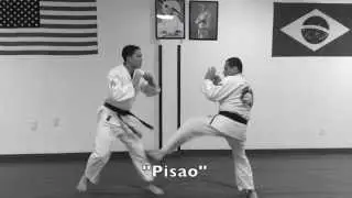Strikes in Gracie Jiu-Jitsu