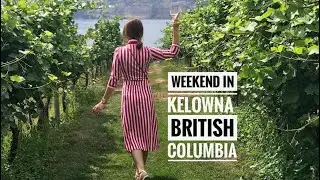 #101 Kelowna ,BC | Ферма кенгуру 🦘| Винодельня 🍇🍷