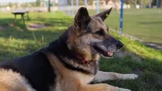 Sony ZV-E10 + Sigma 16mm f/1.4 &ndash; 4K 25fps HLG3 Camera Test
