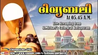 Live Holy Mass, (Malayalam) from St. Michael's Cathedral, Kottapuram 31/10/2025