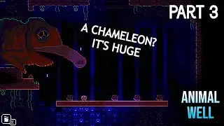 THE CHAMELEON AND THE V.FLAME | ANIMAL WELL Walkthrough Gameplay Part 3 (No commentary)