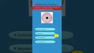 Sphincter and dilator pupillae muscles are embryologically derived from ?